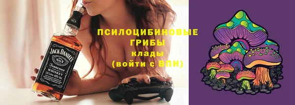 спайс Бородино