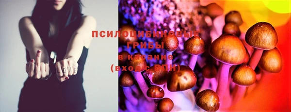 спайс Бородино