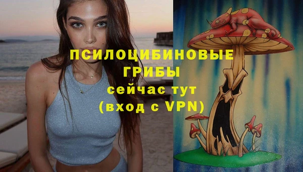 гидра Бугульма
