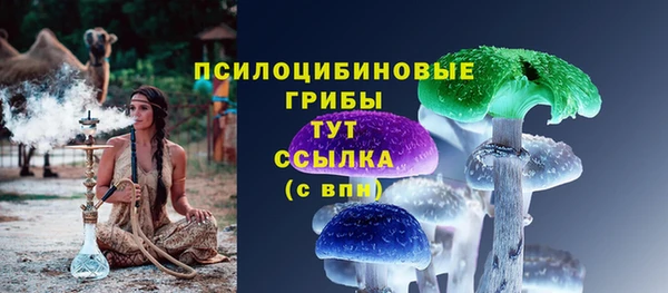 спайс Бородино