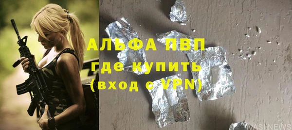 спайс Бородино