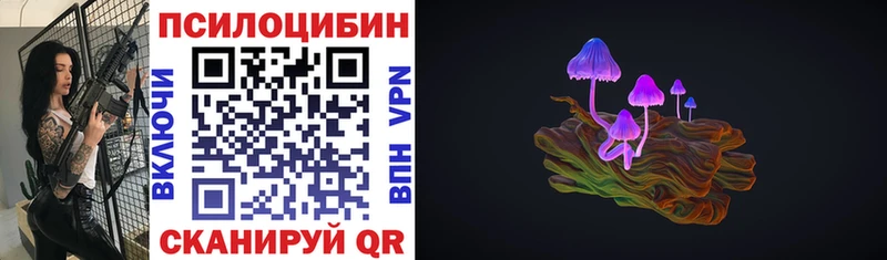 дарнет шоп  Киселёвск  Псилоцибиновые грибы GOLDEN TEACHER 